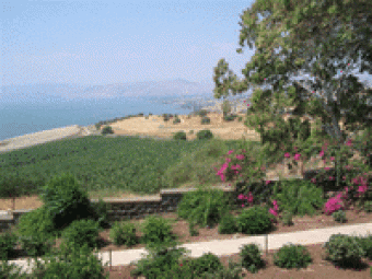 israel real estate - sea of gali Galilee